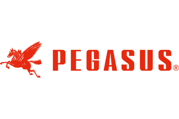 Pegasus
