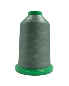 5542K Garden Moss Isacord