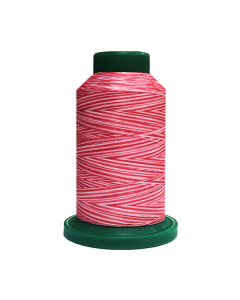 9405 Sweetheart Isacord Variegated